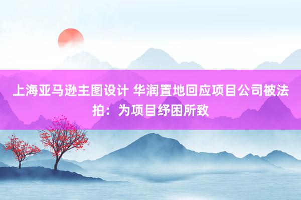 上海亚马逊主图设计 华润置地回应项目公司被法拍：为项目纾困所致